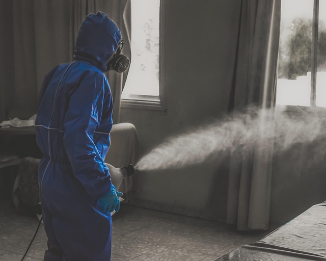 Eco-friendly cleaning products and disinfection spray